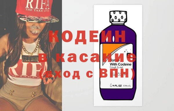 шишки Покачи
