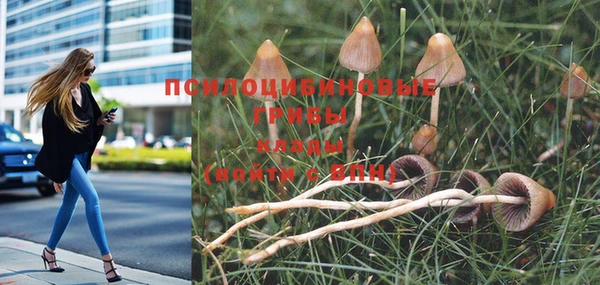 мескалин Баксан